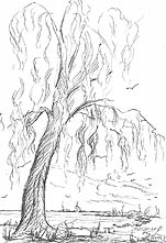 Click on the image to enlarge (88.2 kB)