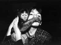 Click on the image to enlarge (33.2 kB)